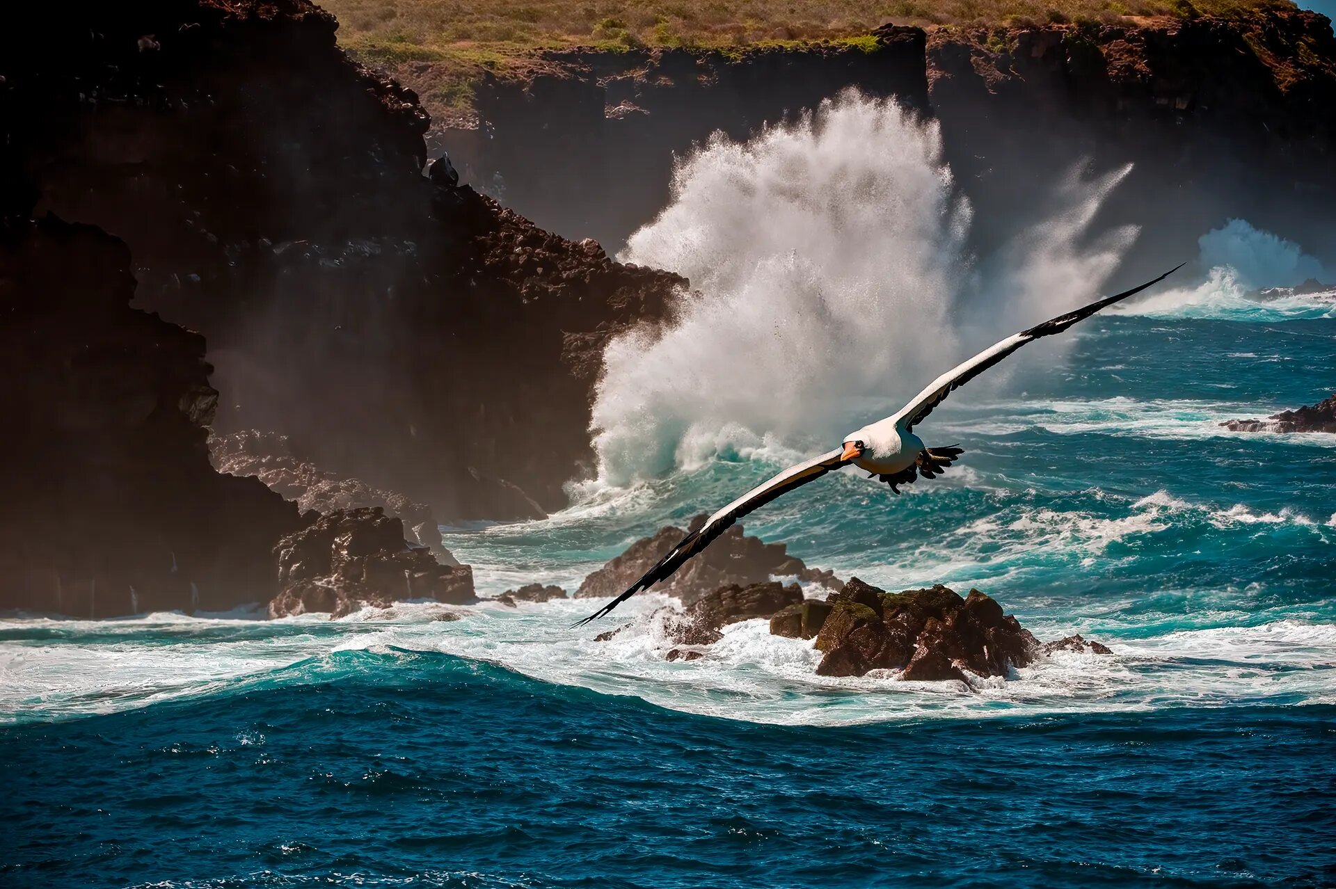 Wave breaking over a Galápagos shoreline