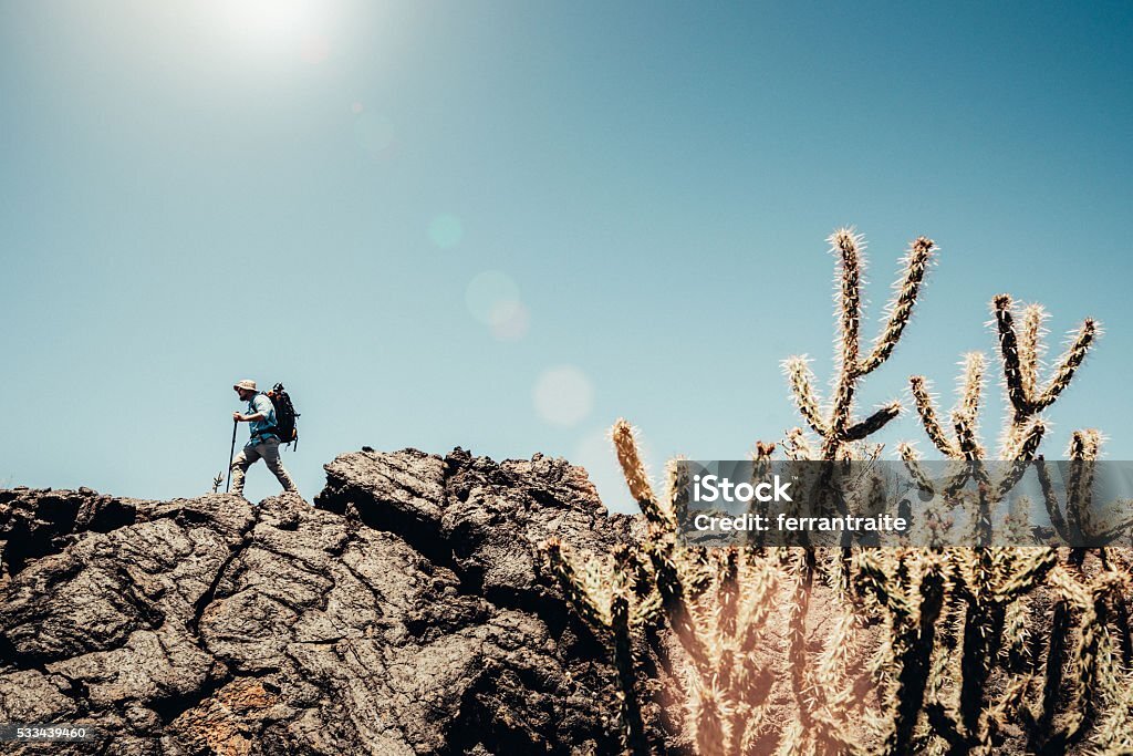 Guest looking through binoculars on a highland trail